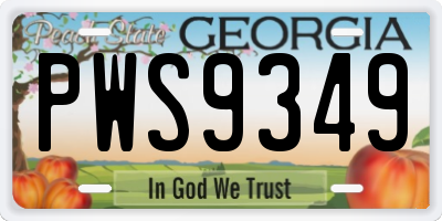 GA license plate PWS9349