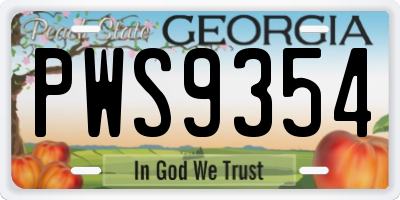 GA license plate PWS9354