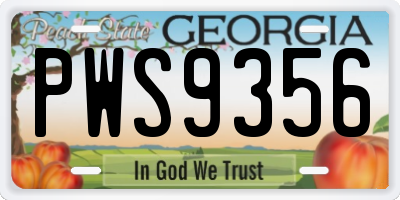 GA license plate PWS9356