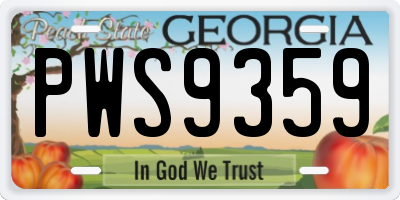 GA license plate PWS9359