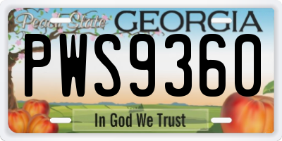 GA license plate PWS9360