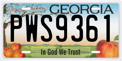 GA license plate PWS9361