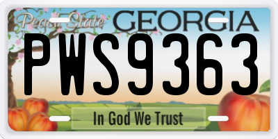 GA license plate PWS9363