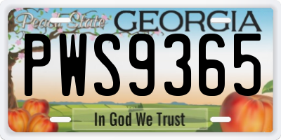 GA license plate PWS9365
