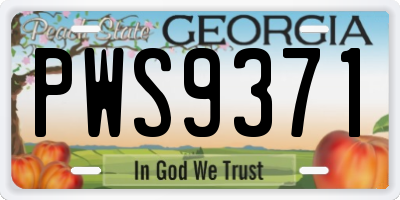 GA license plate PWS9371