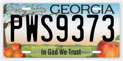 GA license plate PWS9373