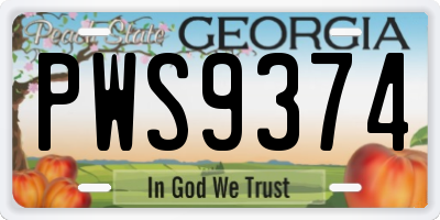 GA license plate PWS9374