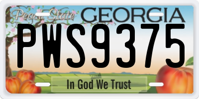 GA license plate PWS9375