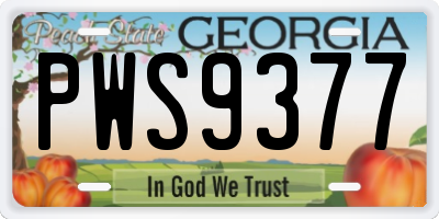 GA license plate PWS9377