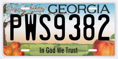 GA license plate PWS9382