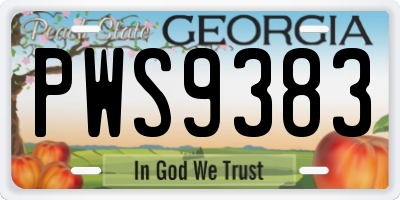 GA license plate PWS9383