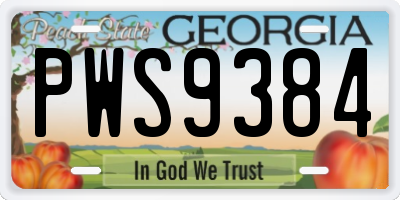 GA license plate PWS9384