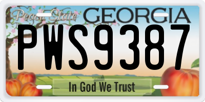 GA license plate PWS9387