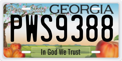 GA license plate PWS9388