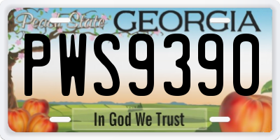 GA license plate PWS9390