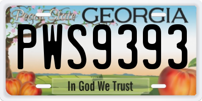 GA license plate PWS9393