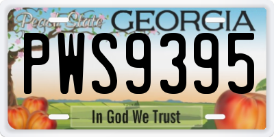 GA license plate PWS9395