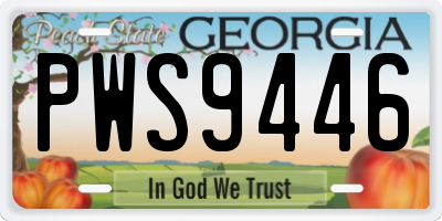 GA license plate PWS9446