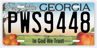 GA license plate PWS9448