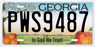 GA license plate PWS9487