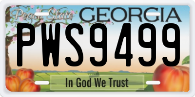 GA license plate PWS9499