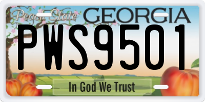GA license plate PWS9501