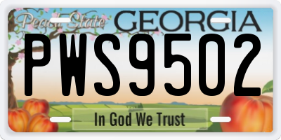 GA license plate PWS9502