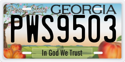 GA license plate PWS9503