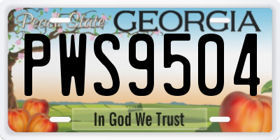 GA license plate PWS9504