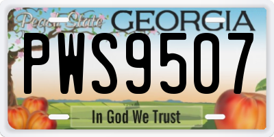 GA license plate PWS9507