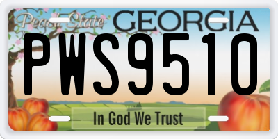 GA license plate PWS9510