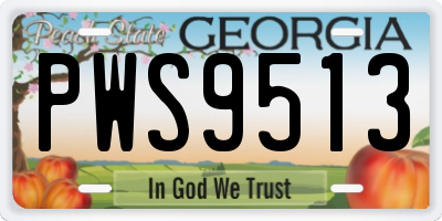 GA license plate PWS9513