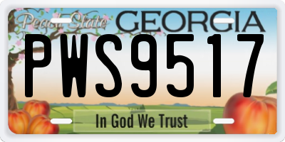 GA license plate PWS9517