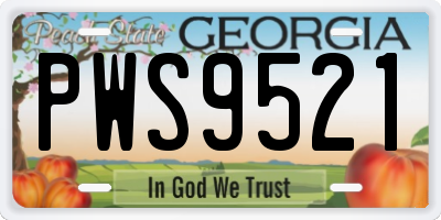 GA license plate PWS9521