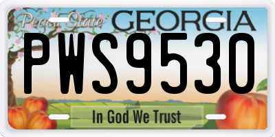 GA license plate PWS9530