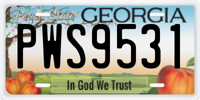 GA license plate PWS9531