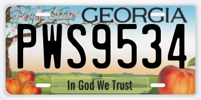 GA license plate PWS9534