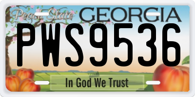 GA license plate PWS9536