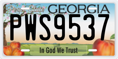 GA license plate PWS9537