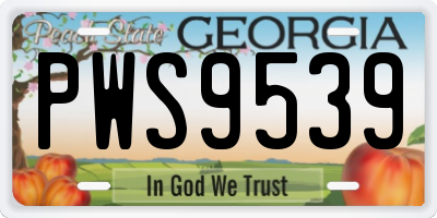 GA license plate PWS9539