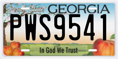 GA license plate PWS9541