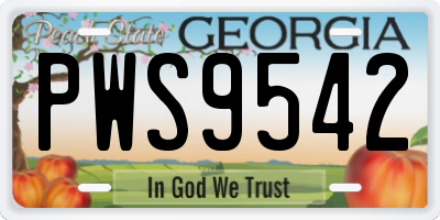 GA license plate PWS9542