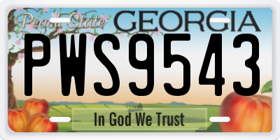 GA license plate PWS9543