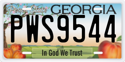 GA license plate PWS9544
