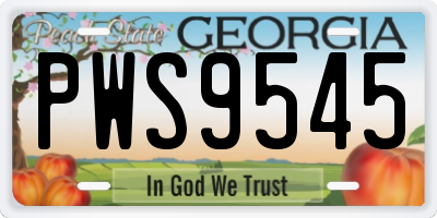 GA license plate PWS9545