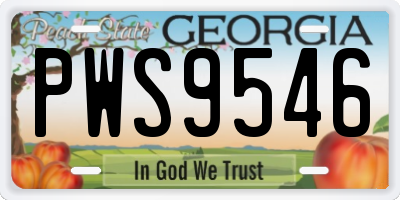 GA license plate PWS9546