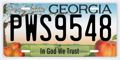 GA license plate PWS9548