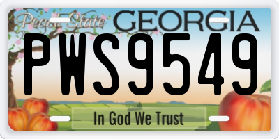 GA license plate PWS9549