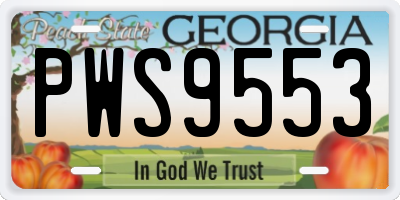 GA license plate PWS9553