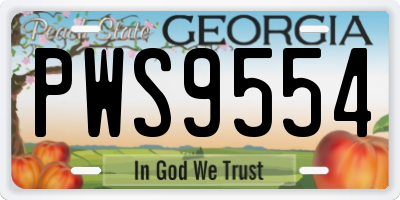 GA license plate PWS9554